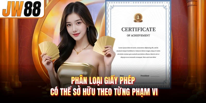 Phân loại giấy phép có thể sở hữu theo từng phạm vi